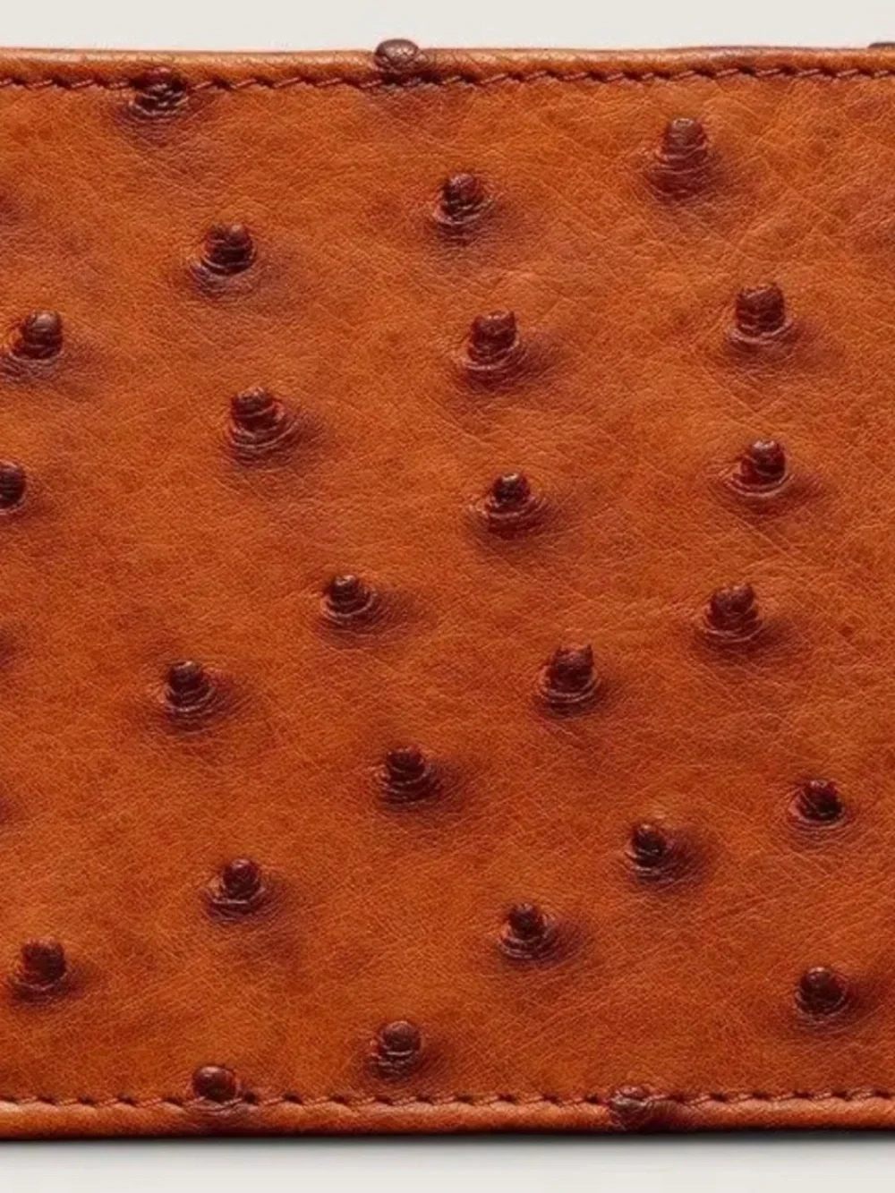 Men’s Wallet